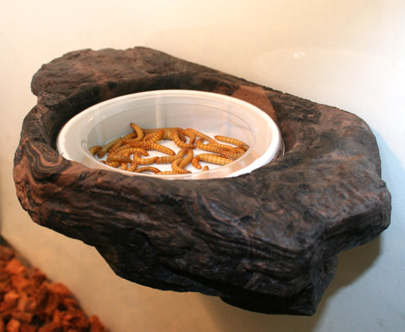 Magnaturals Worm Feeder Ledge