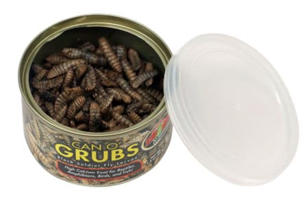 Zoo Med Can O' Grubs