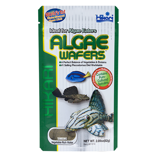 Hikari Algae Wafers (Special Order)