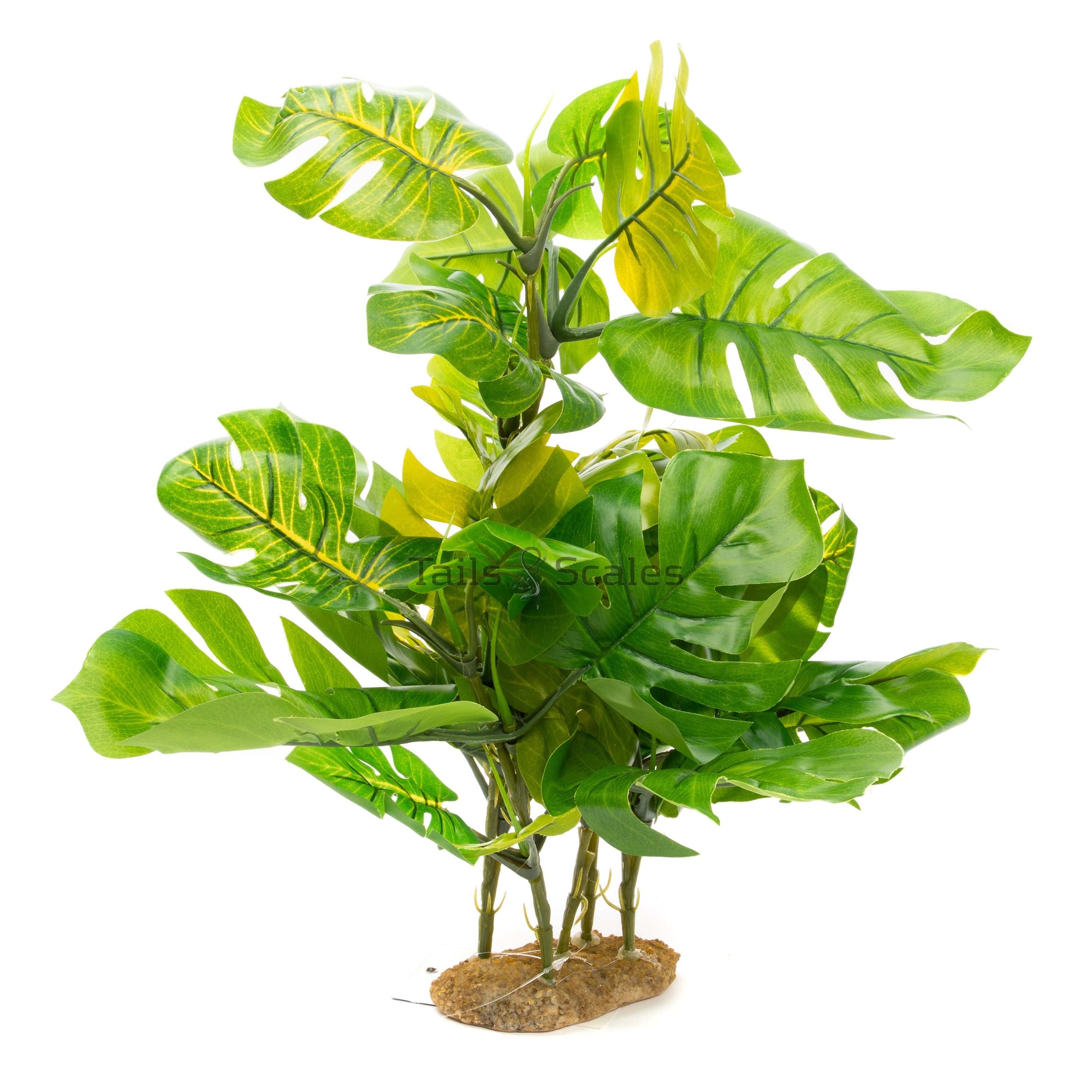 Aquaglobe Silk Monstera