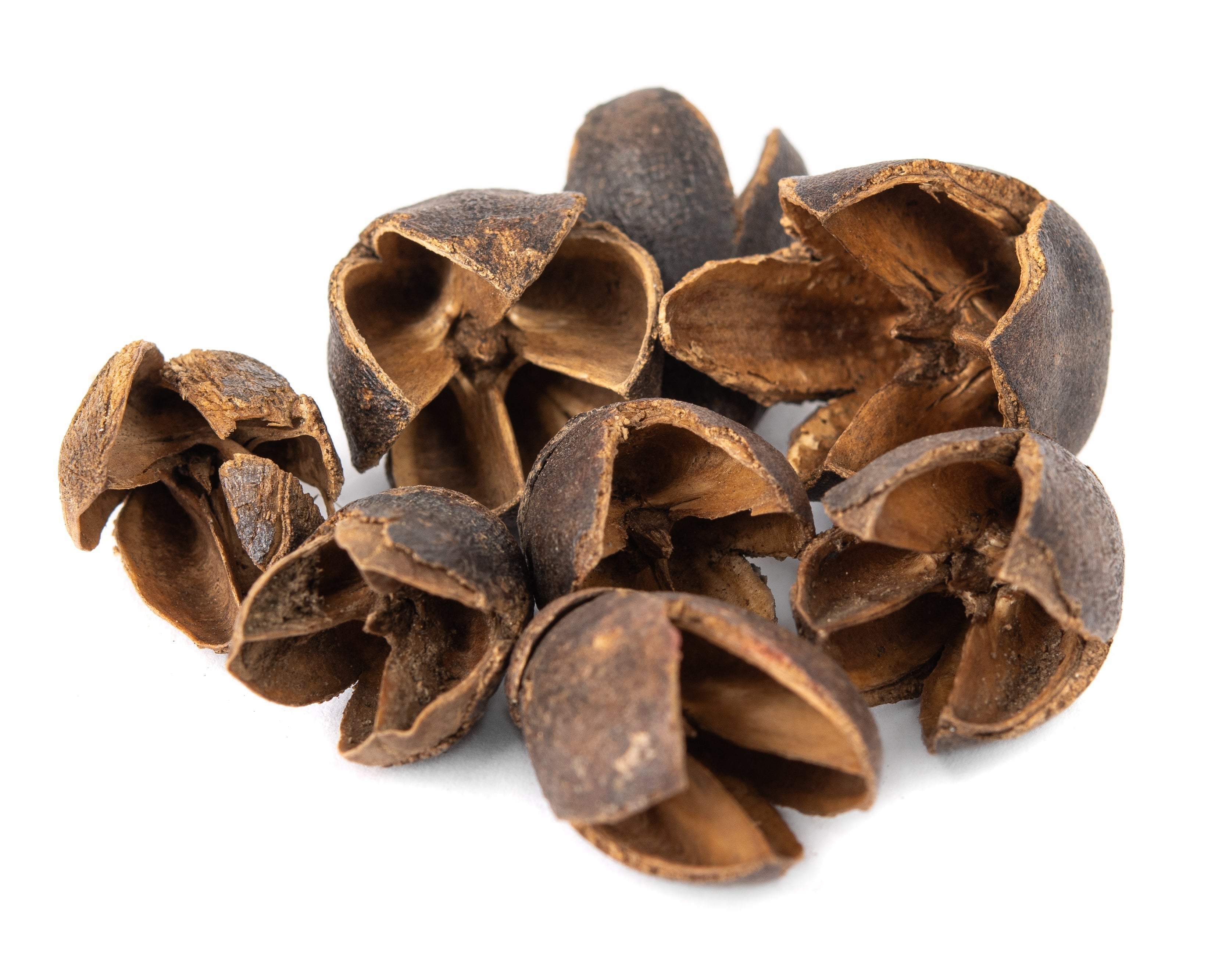 NewCal Bakuli Pods