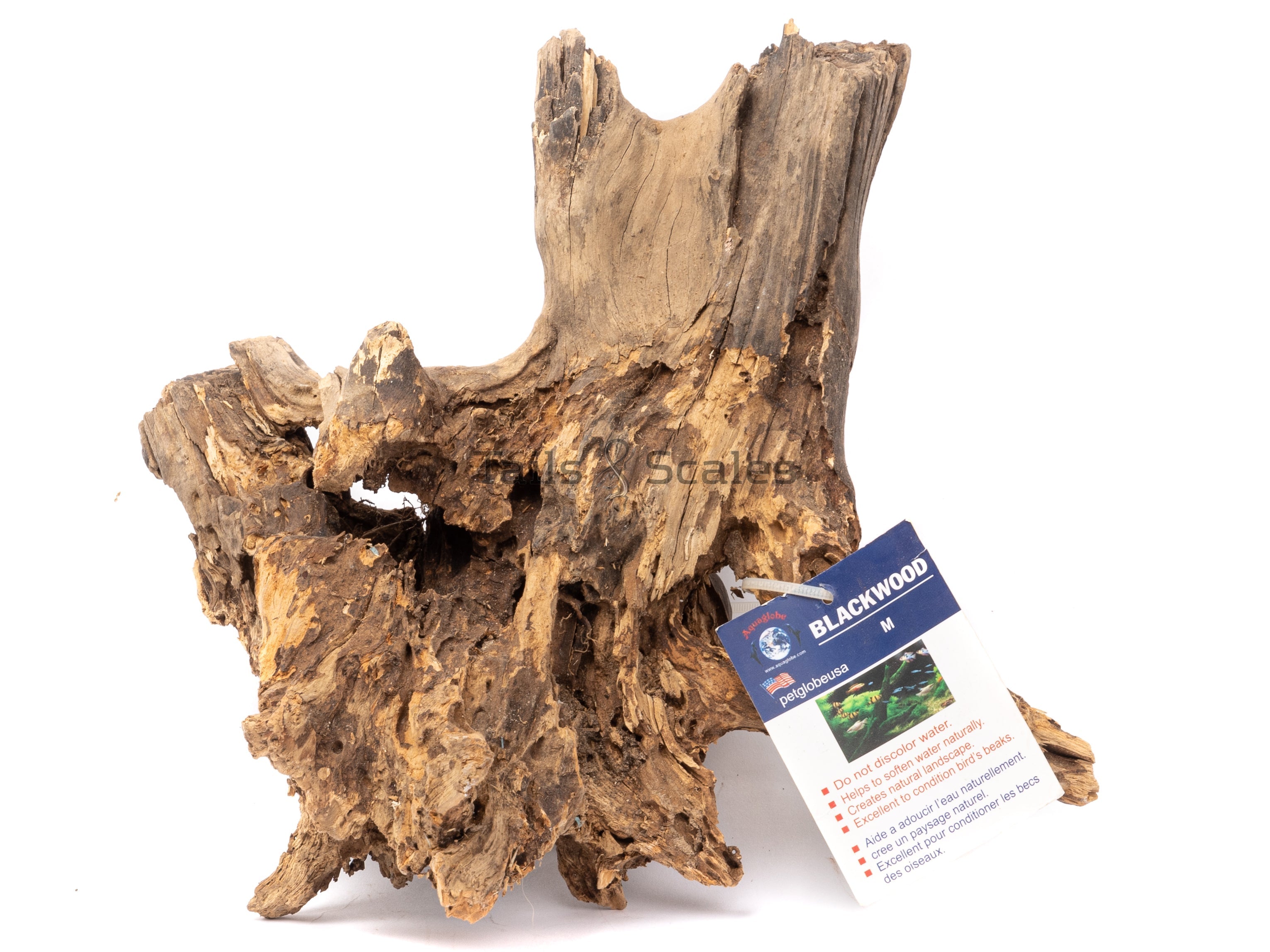 Aquaglobe Blackwood