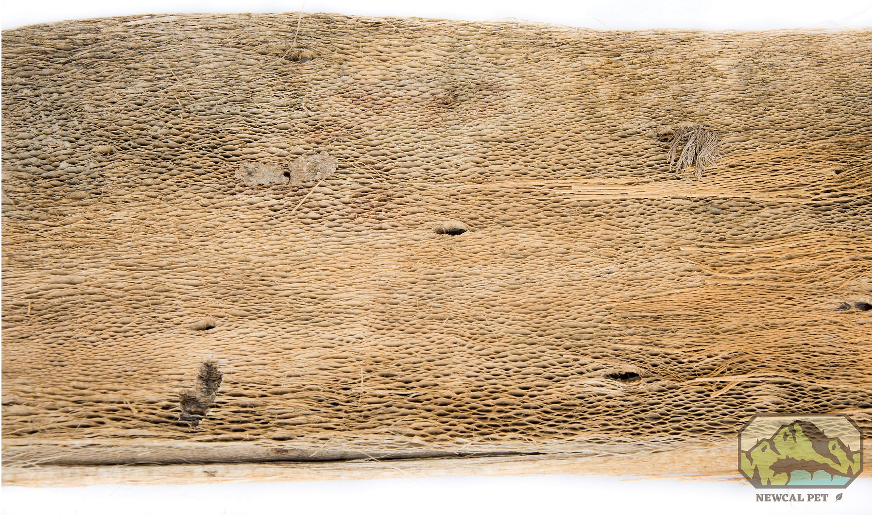 NewCal Cactus Bark Sheet 2oz