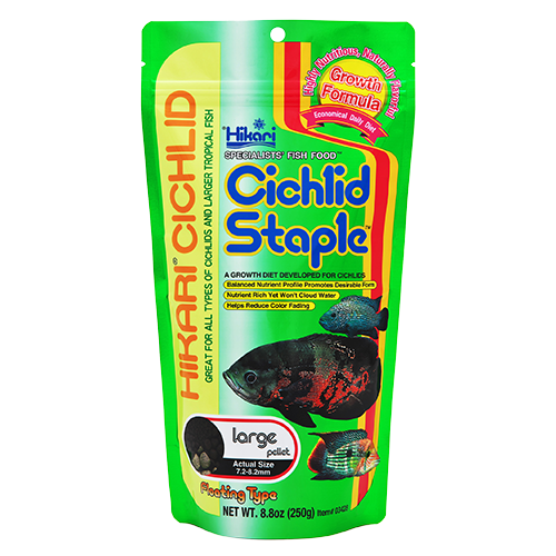 Hikari Cichlid Staple Large Pellets (Special Order)