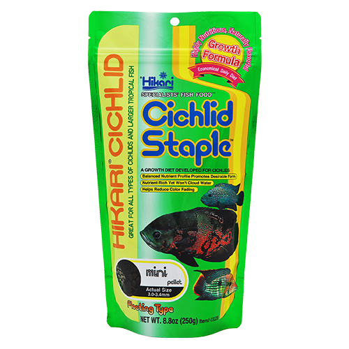Hikari Cichlid Staple Mini Pellets (Special Order)