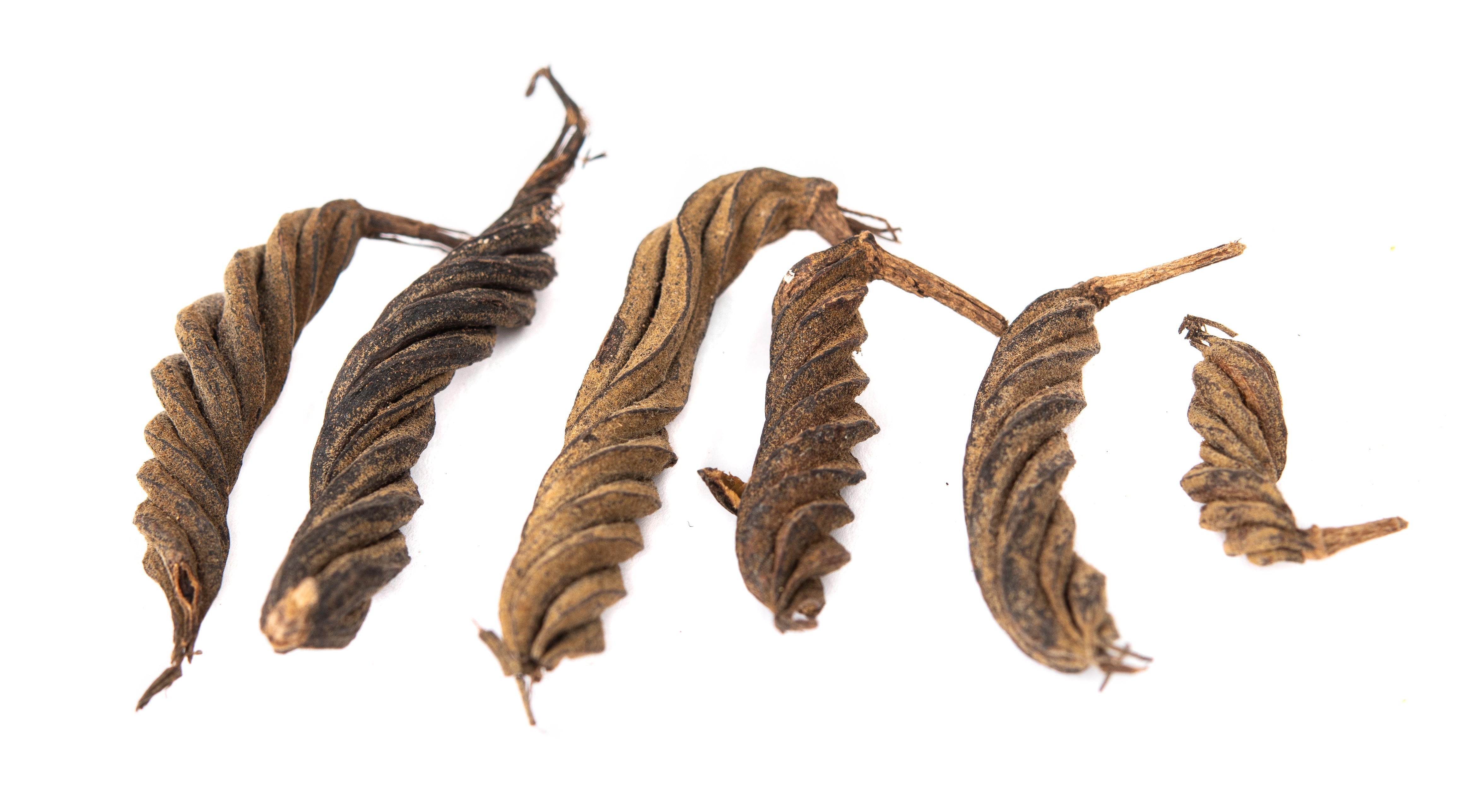 NewCal Fusilli Pods