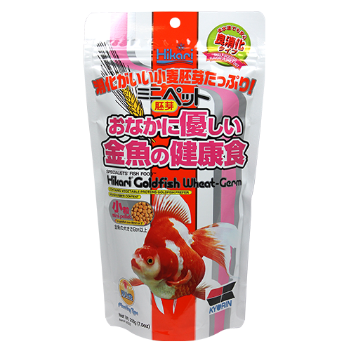 Hikari Goldfish Wheat-Germ Mini Pellet (Special Order)