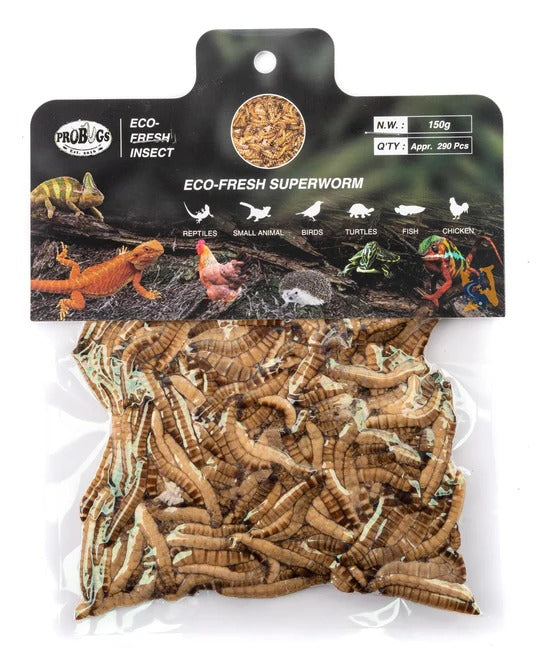 ProBugs Eco-Fresh Superworms