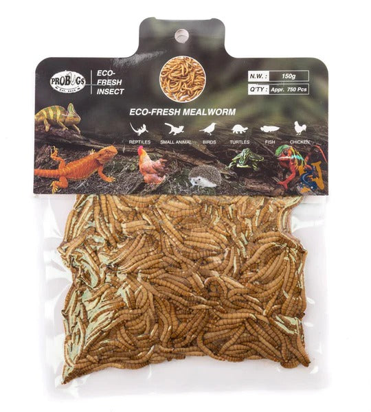 ProBugs Eco-Fresh Mealworms