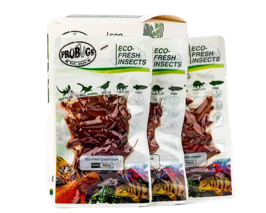 ProBugs Eco-Fresh Grasshoppers
