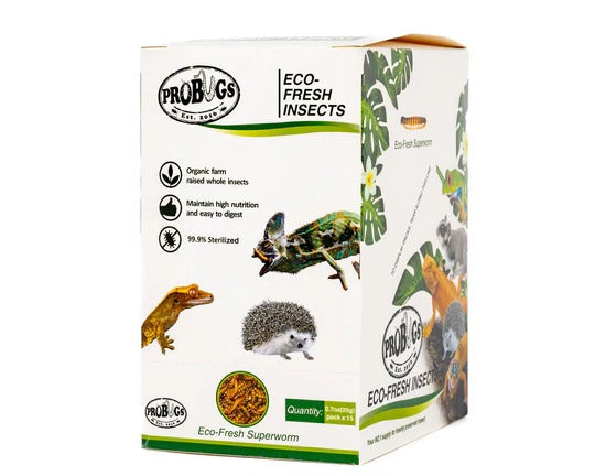 ProBugs Eco-Fresh Superworms