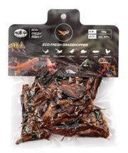 ProBugs Eco-Fresh Grasshoppers