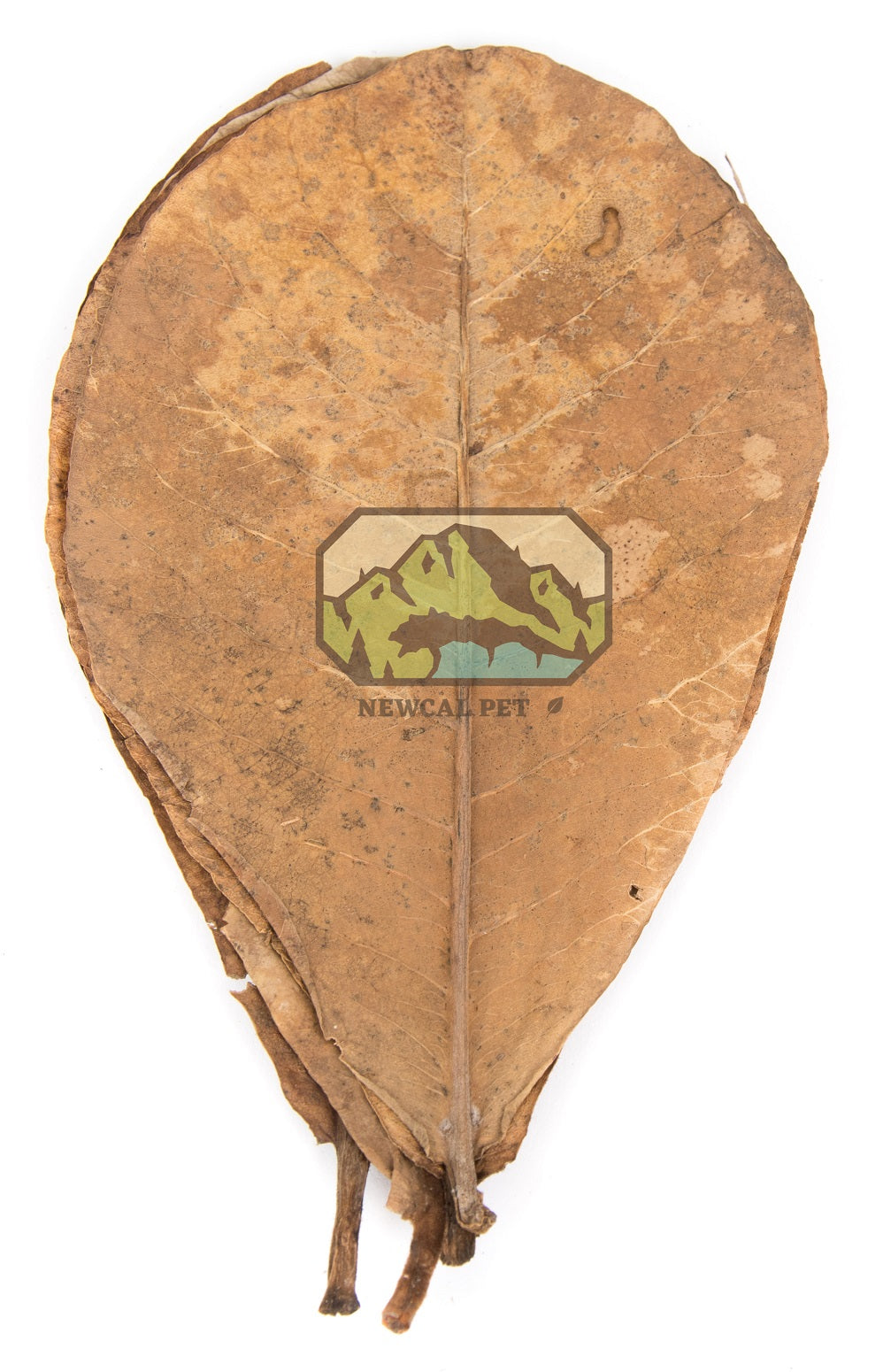 NewCal Indian Almond Leaves AAA