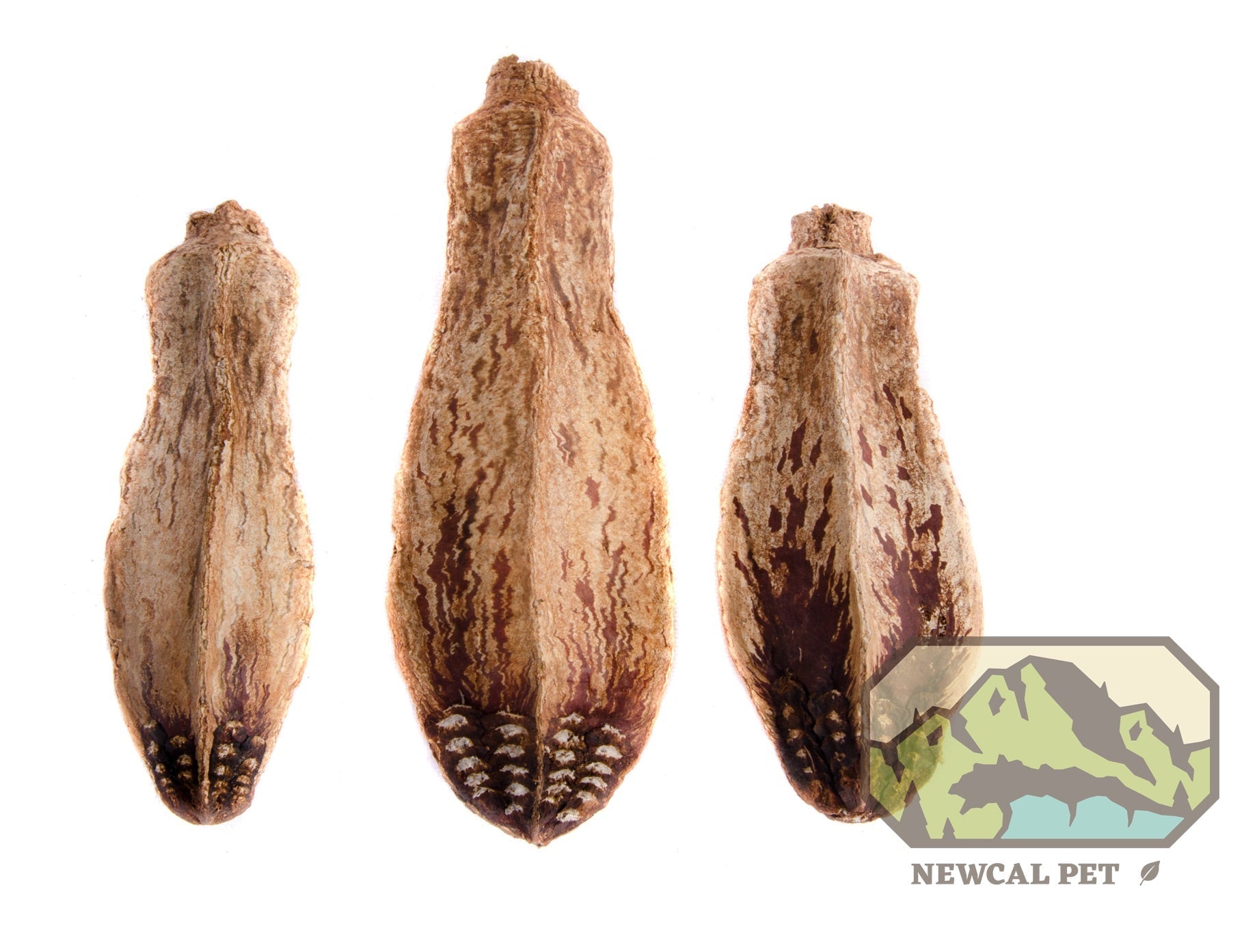 NewCal Mahogany Pods 4"