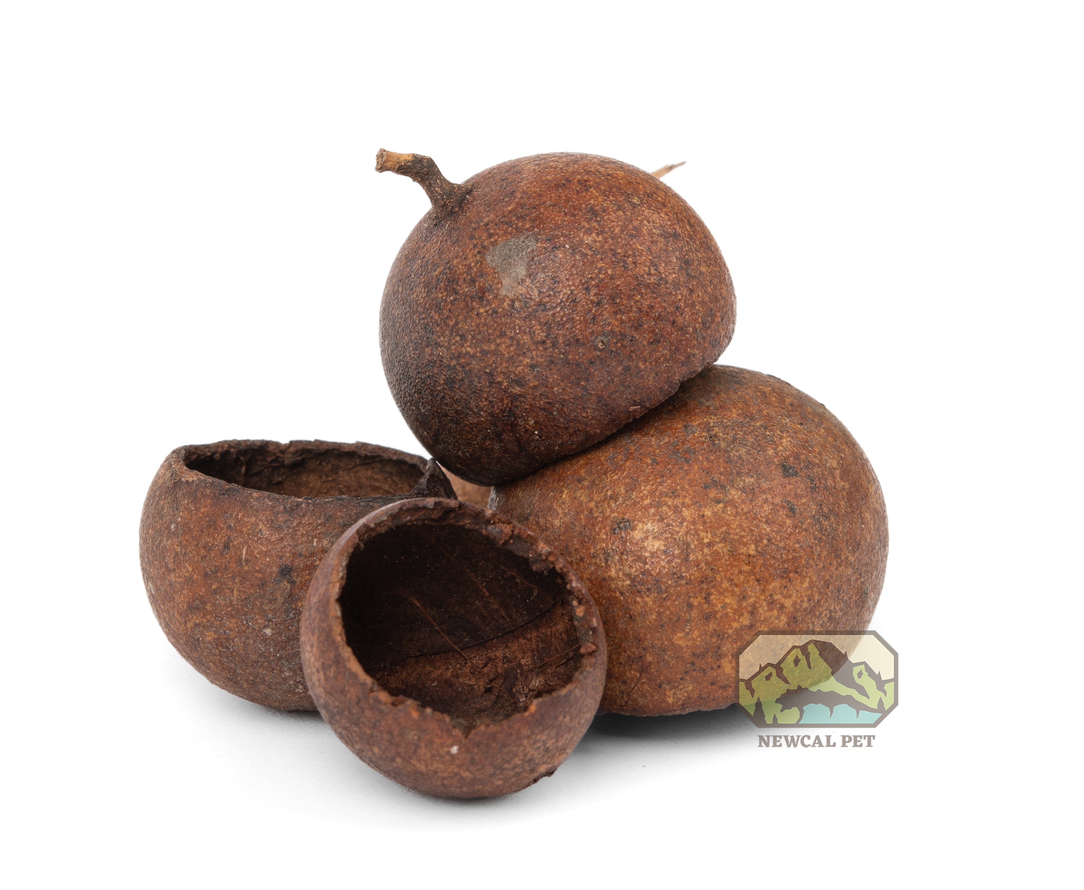 NewCal Kuchila Pods