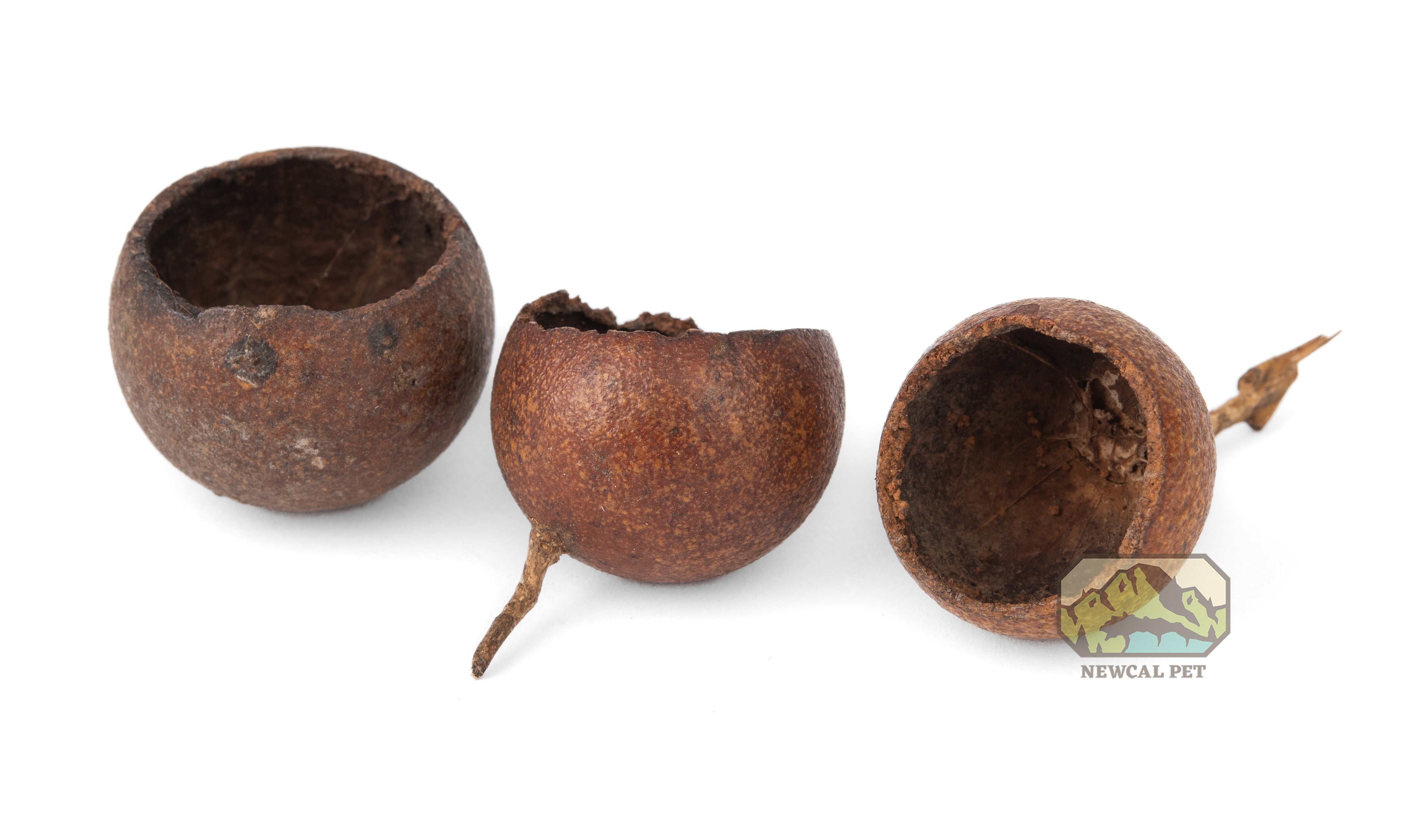NewCal Kuchila Pods
