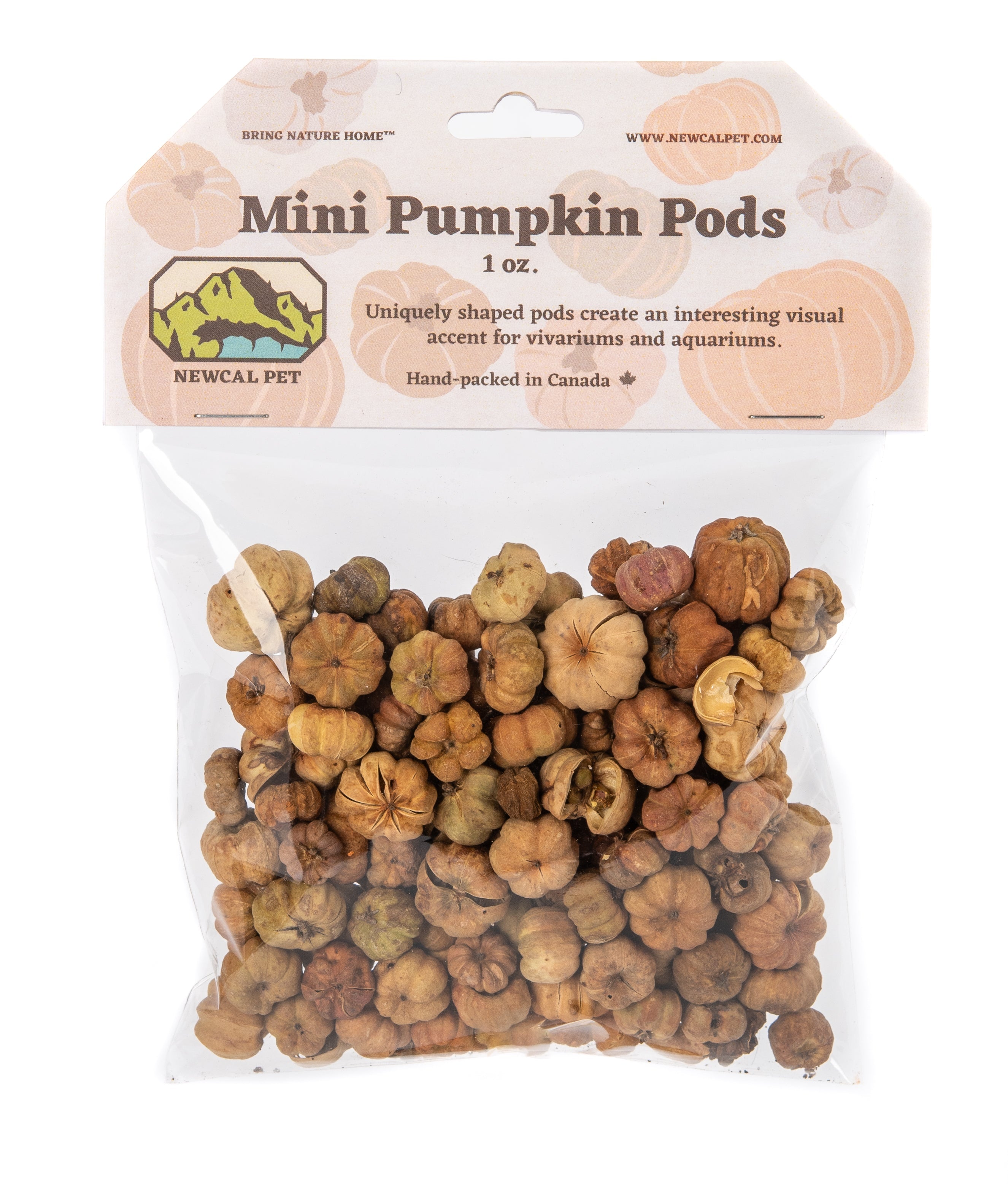 NewCal Mini Pumpkin Pods