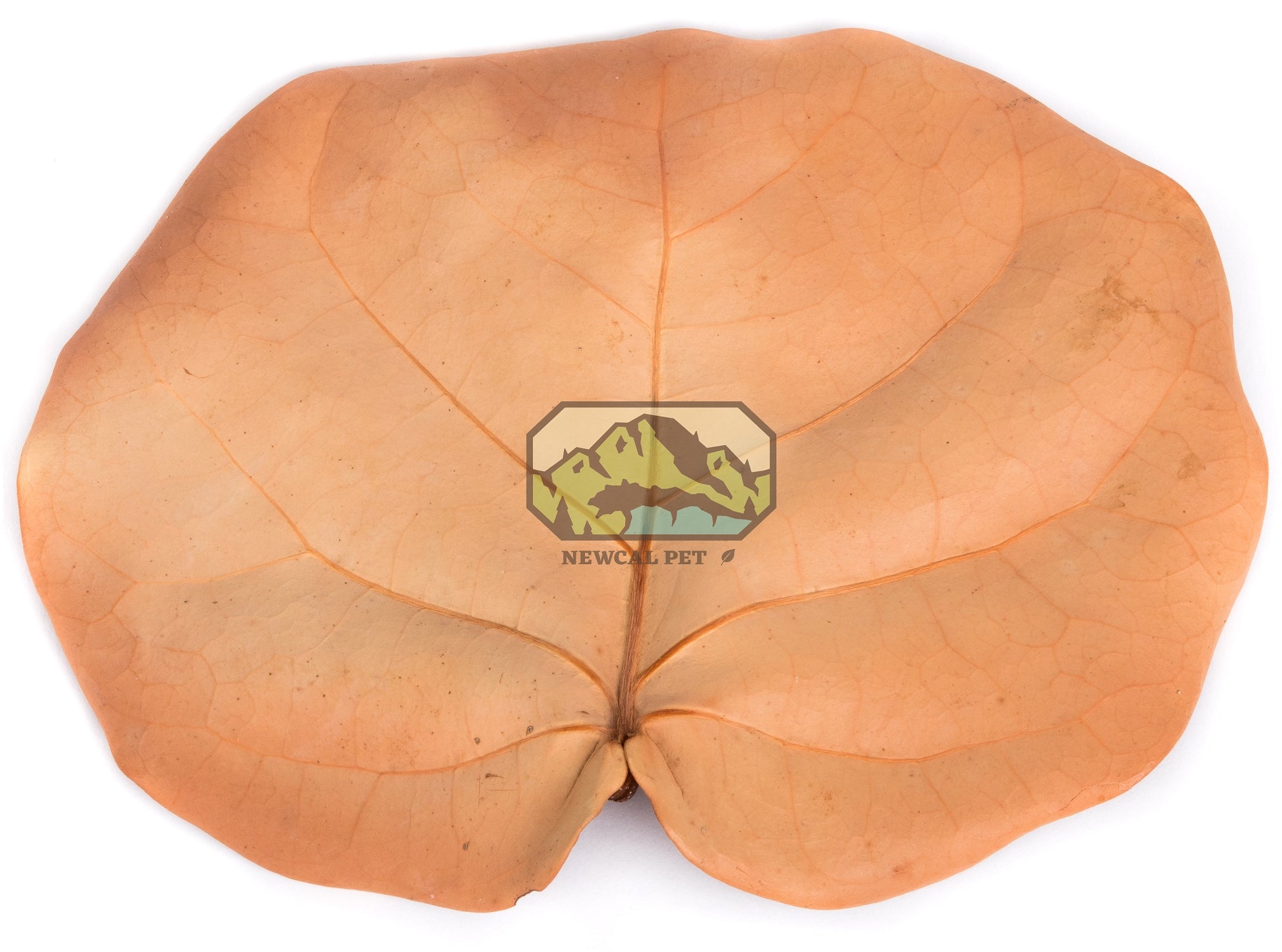 NewCal Sea Grape Leaves