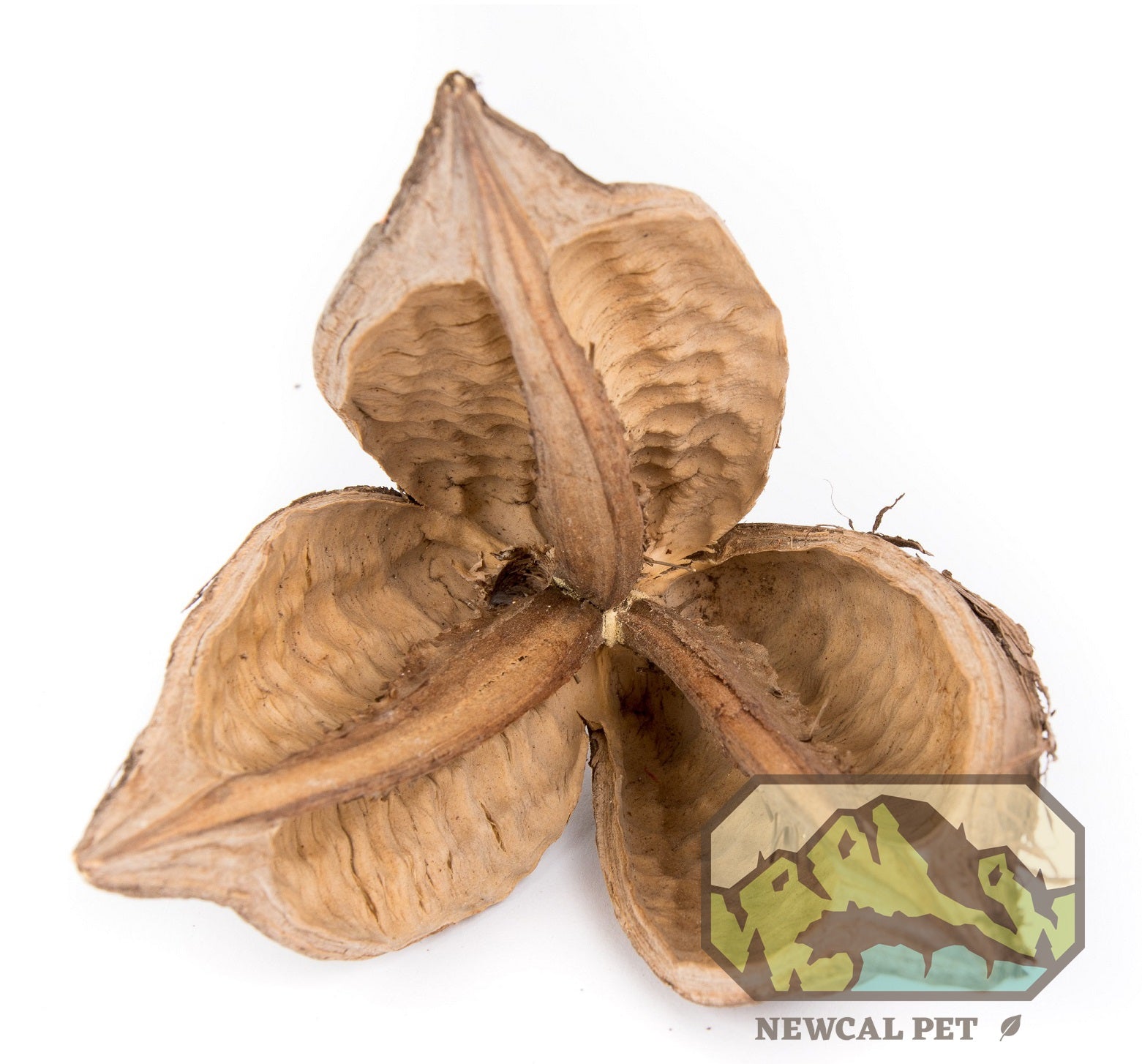 NewCal Sororoca Flower 4-5"
