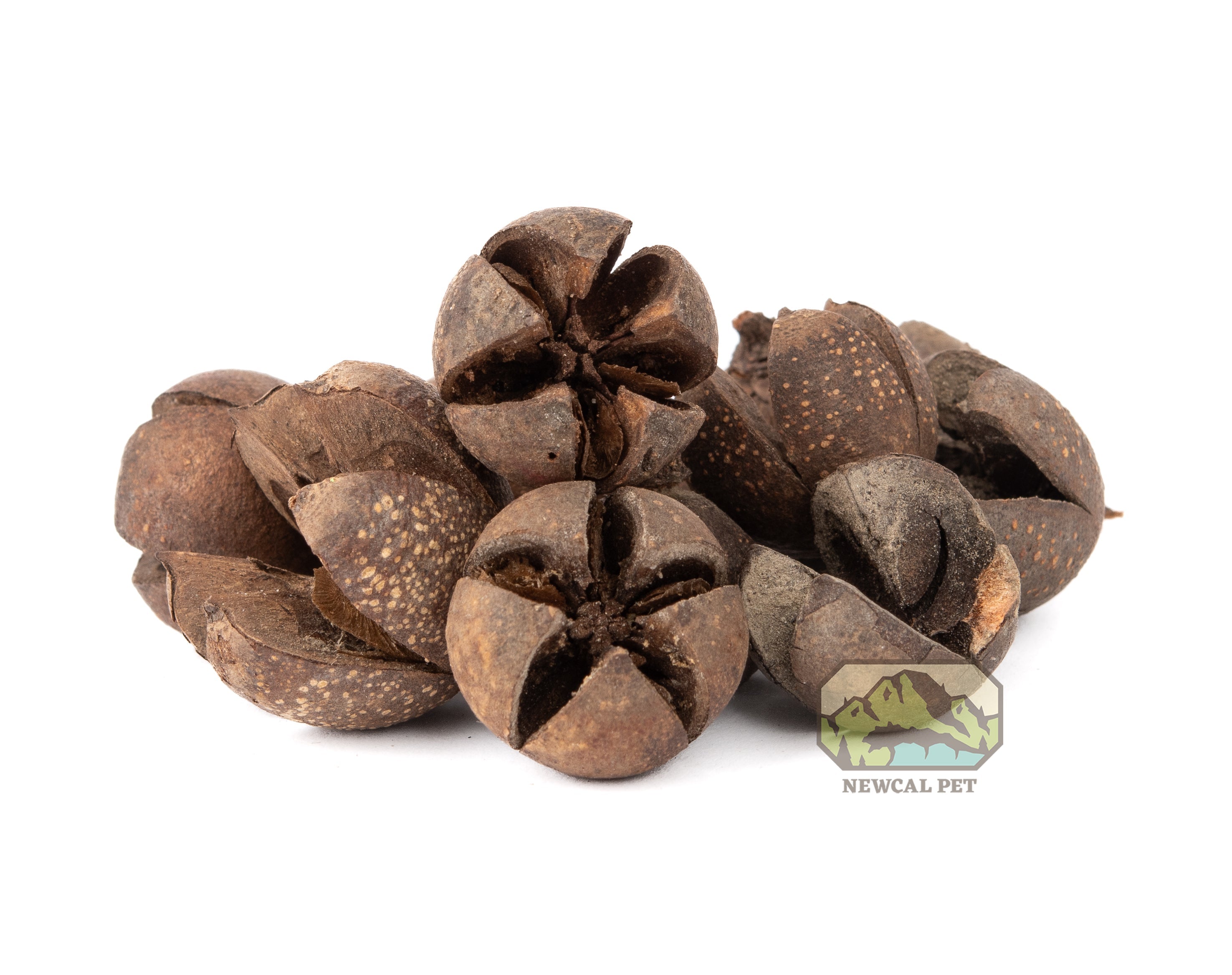 NewCal Walachi Pods