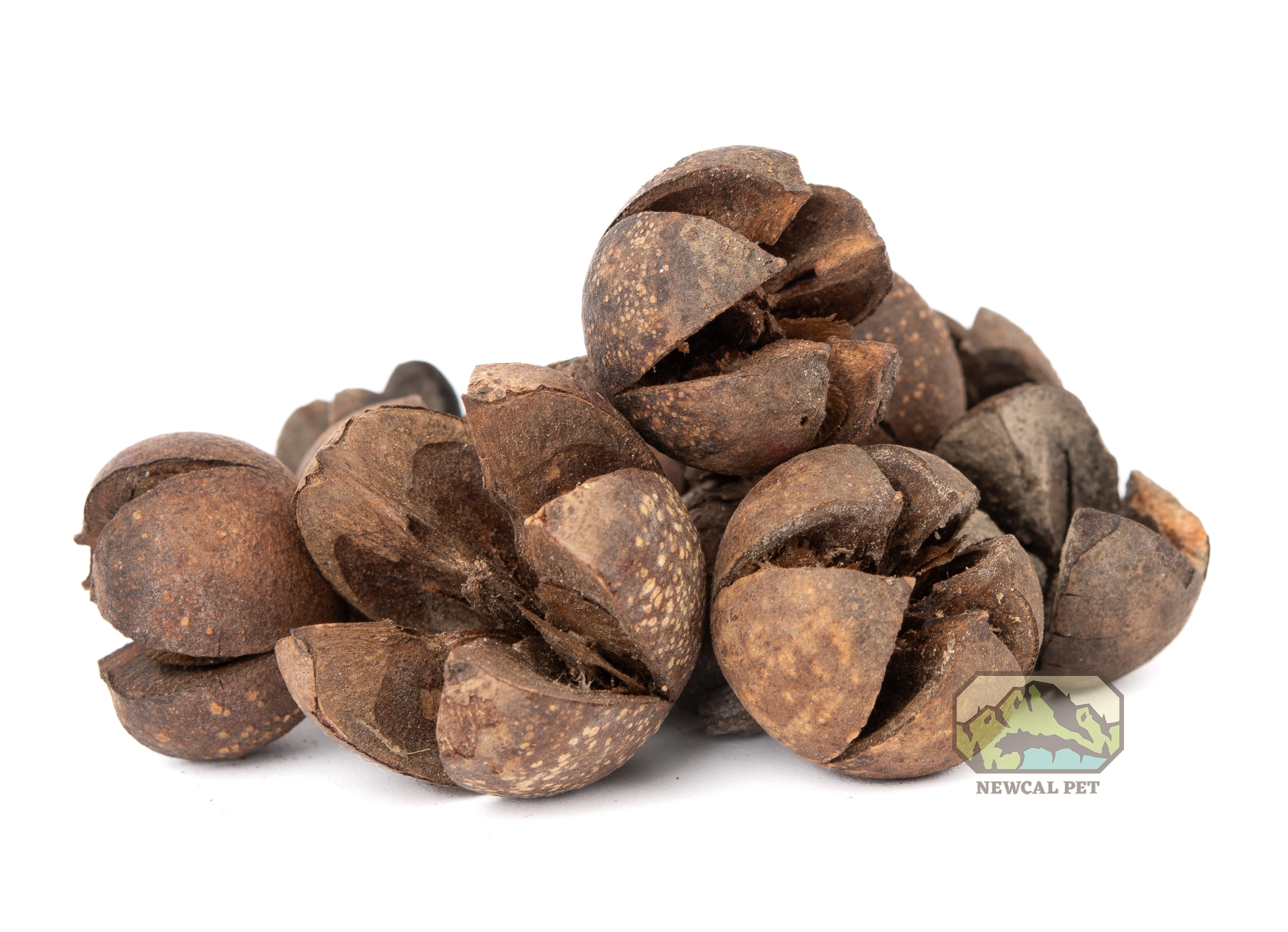 NewCal Walachi Pods