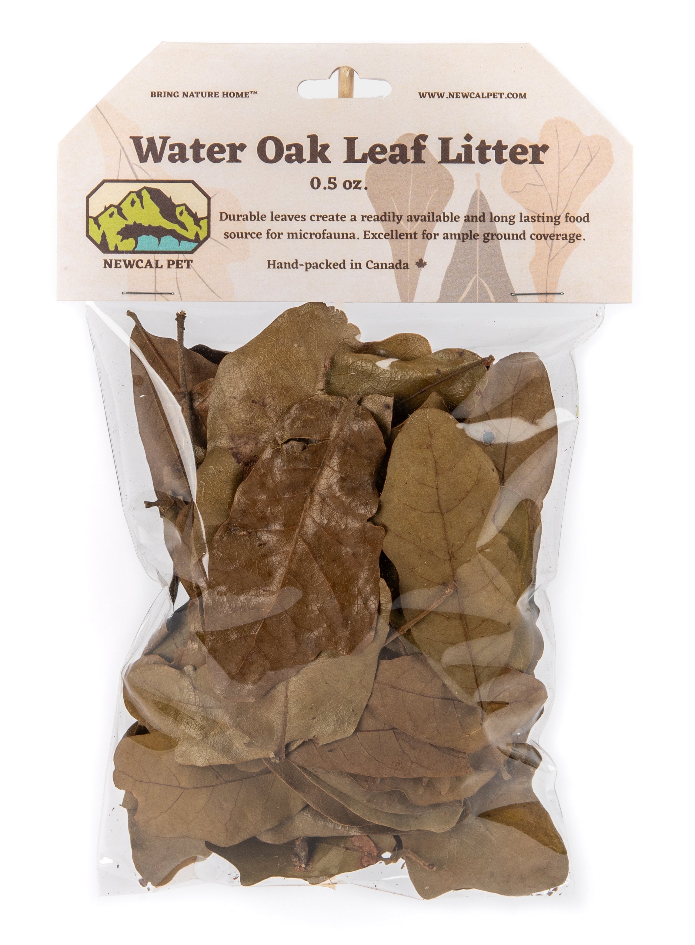 NewCal Water Oak Leaves