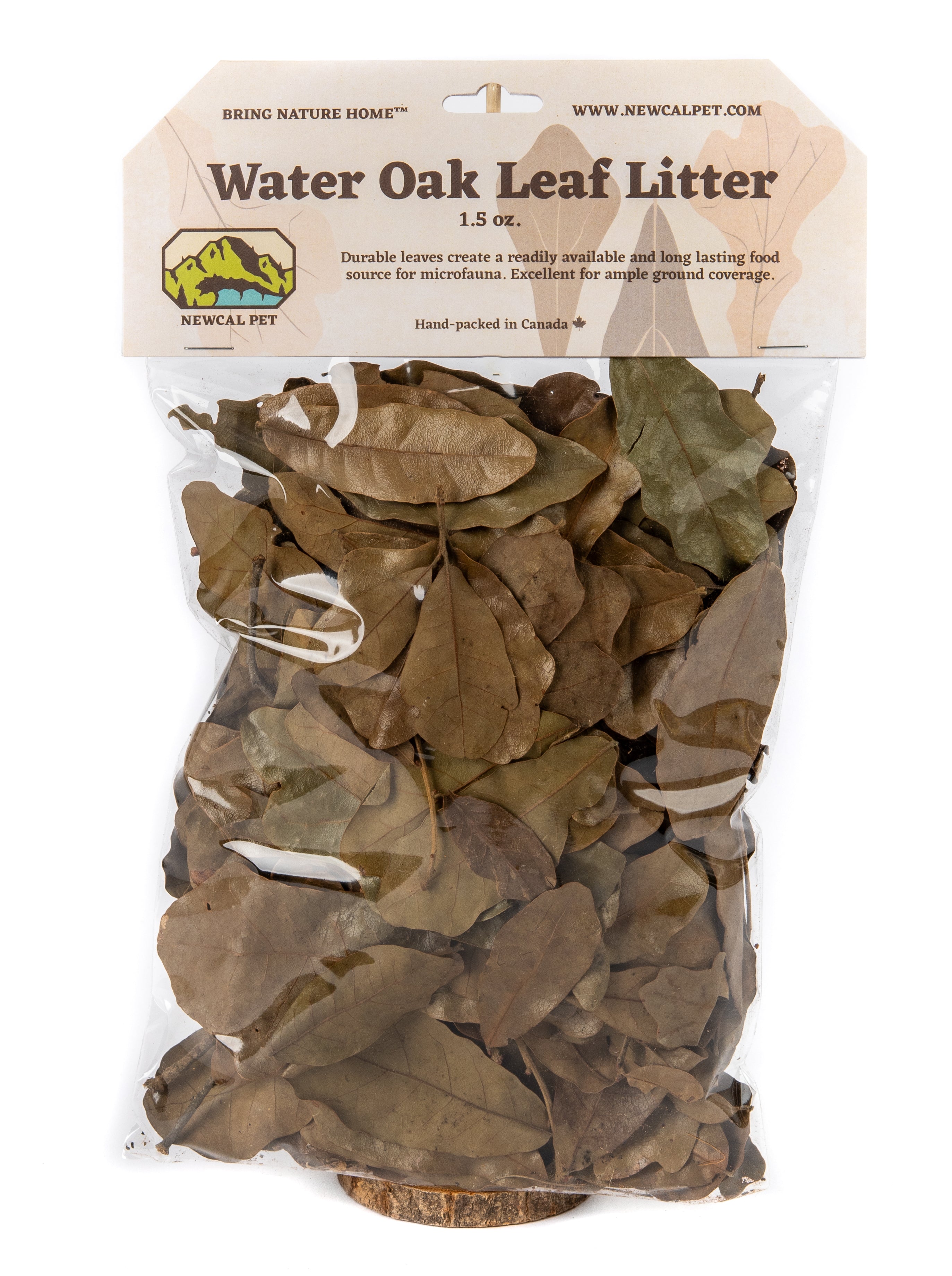 NewCal Water Oak Leaves