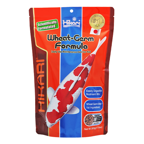 Hikari Wheat Germ Floating Pellets (Special Order)