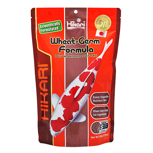 Hikari Wheat Germ Floating Pellets (Special Order)