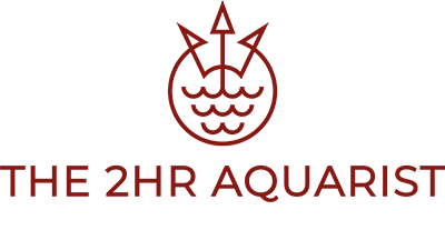 2HR Aquarist
