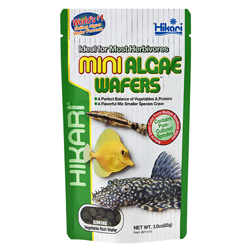 Hikari Mini Algae Wafers (Special Order)