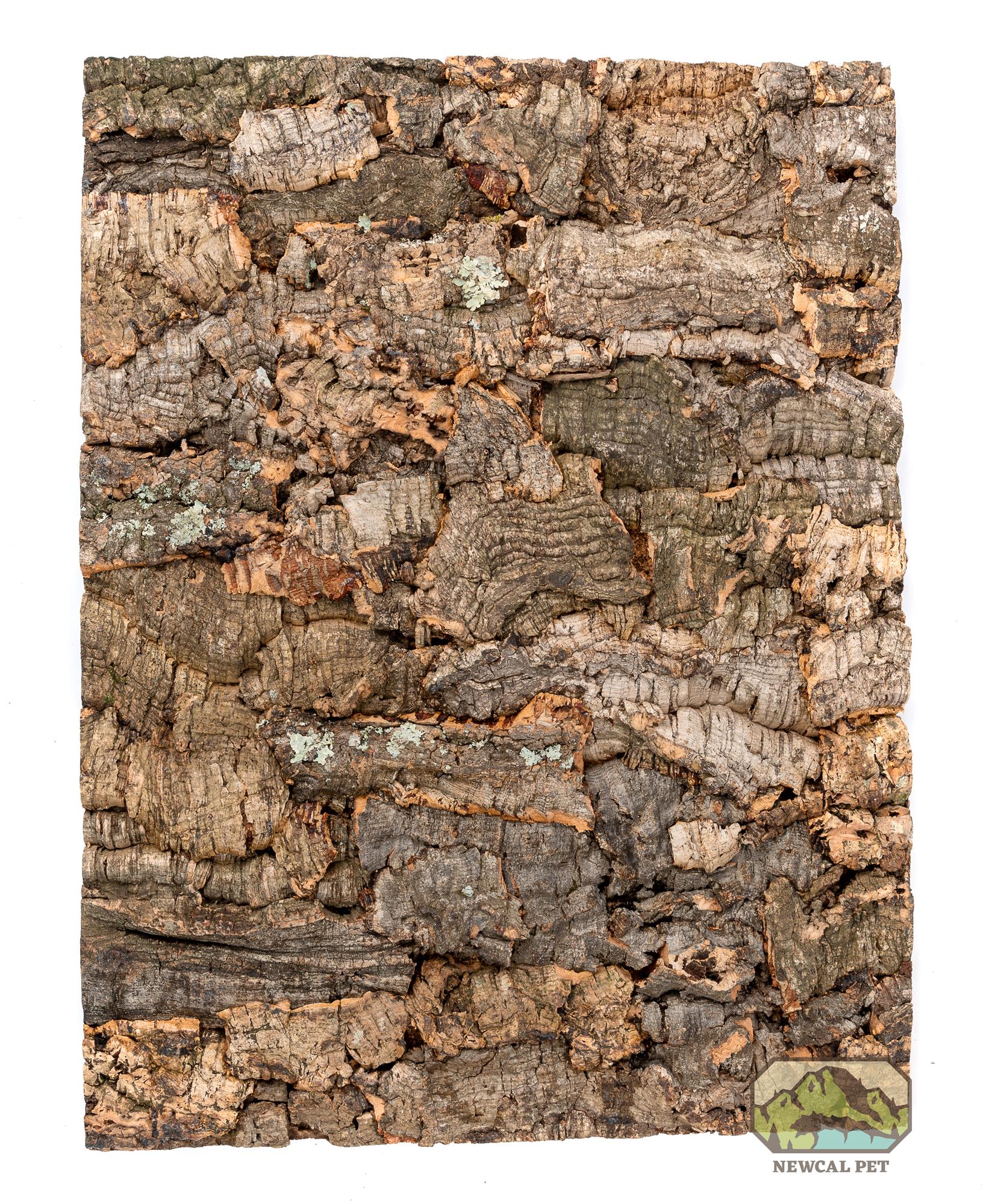 NewCal Virgin Cork Backrounds