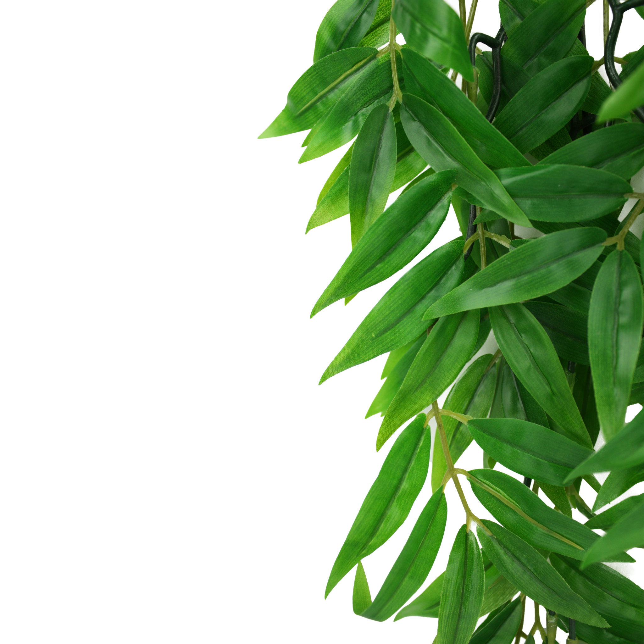 Komodo Climbing Plant - Bamboo