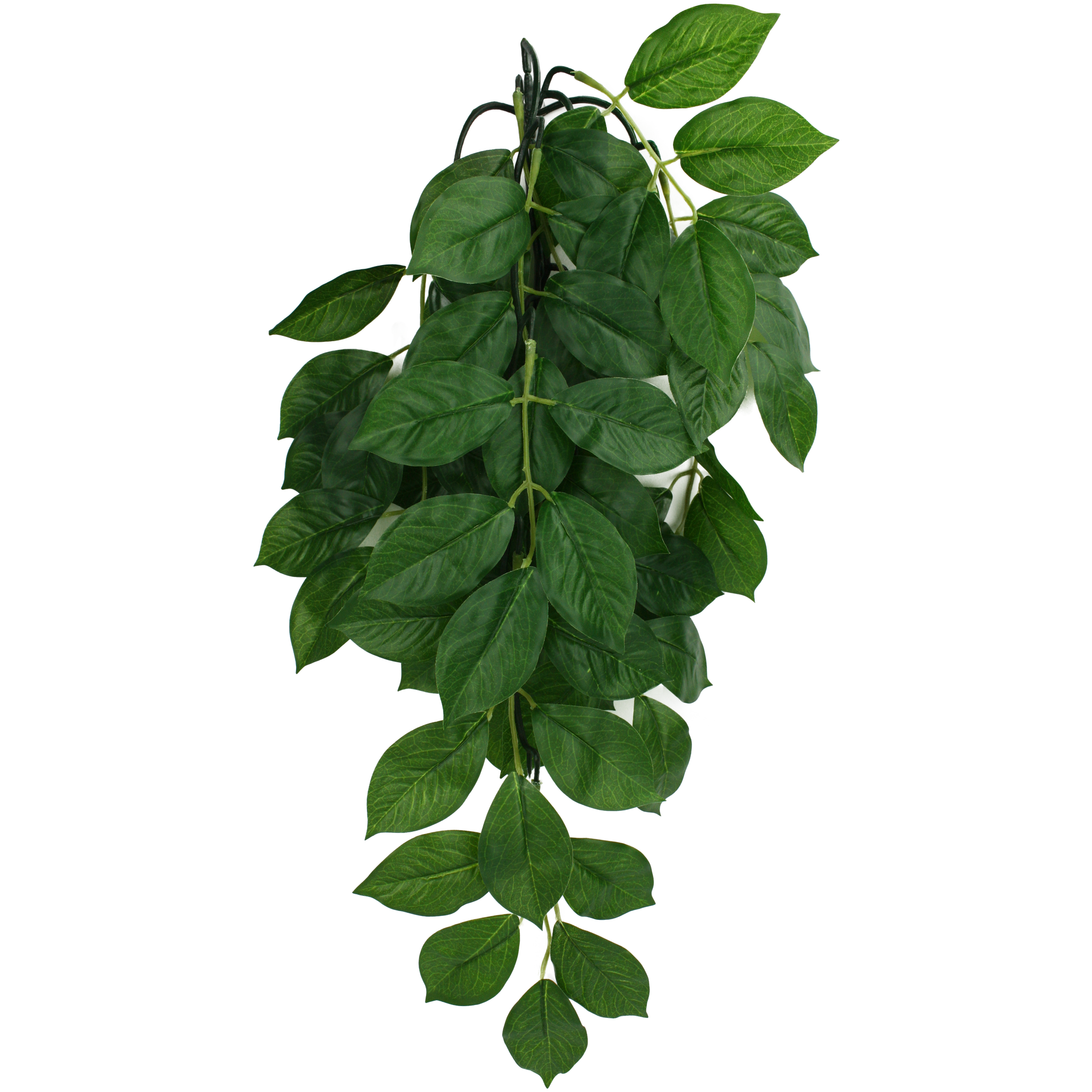 Komodo Climbing Plant - Green Leaf