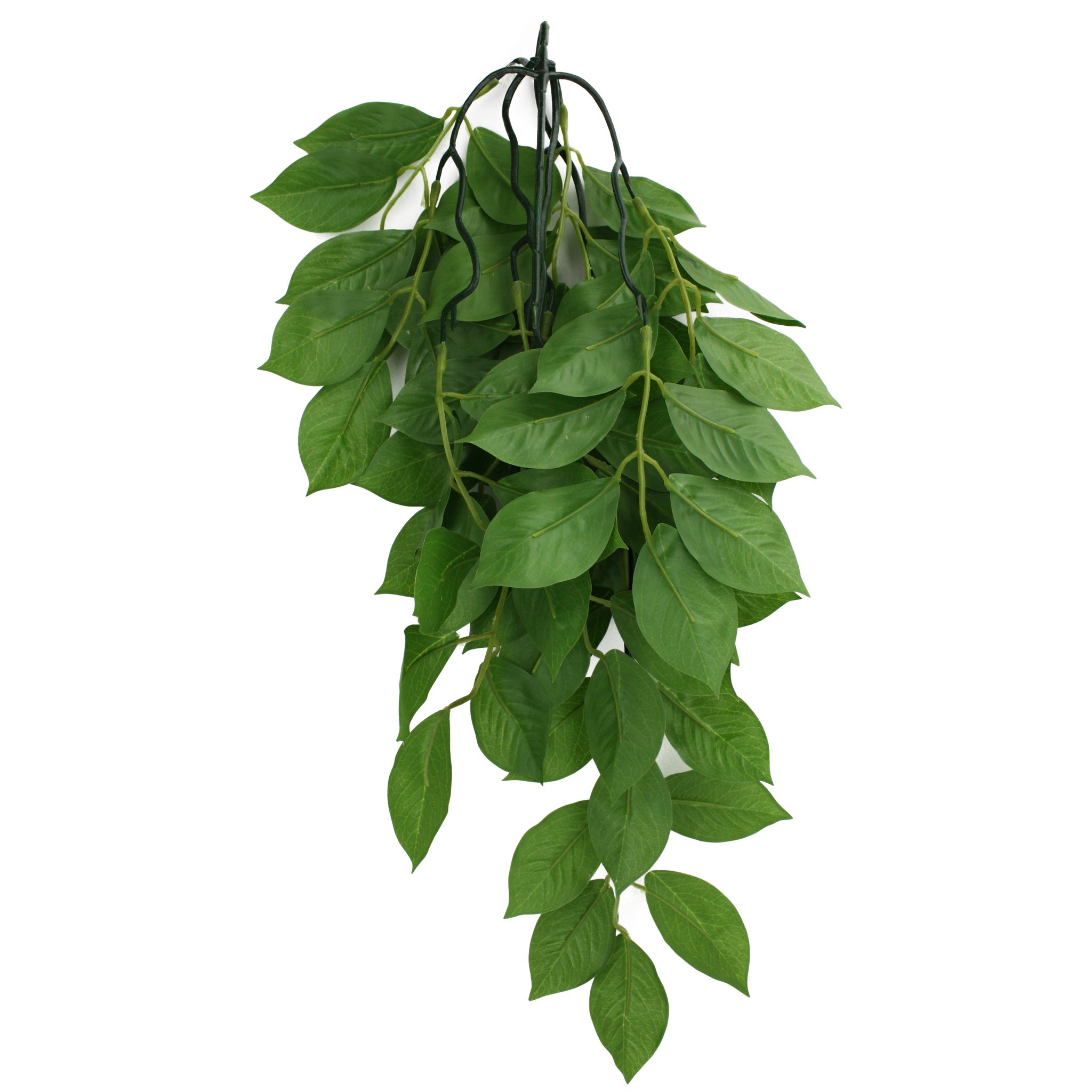 Komodo Climbing Plant - Green Leaf
