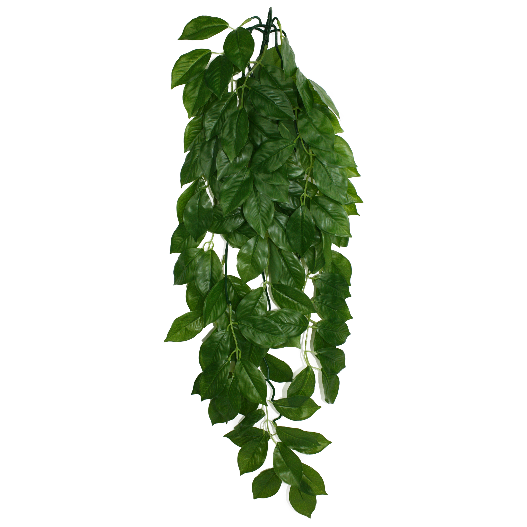 Komodo Climbing Plant - Green Leaf