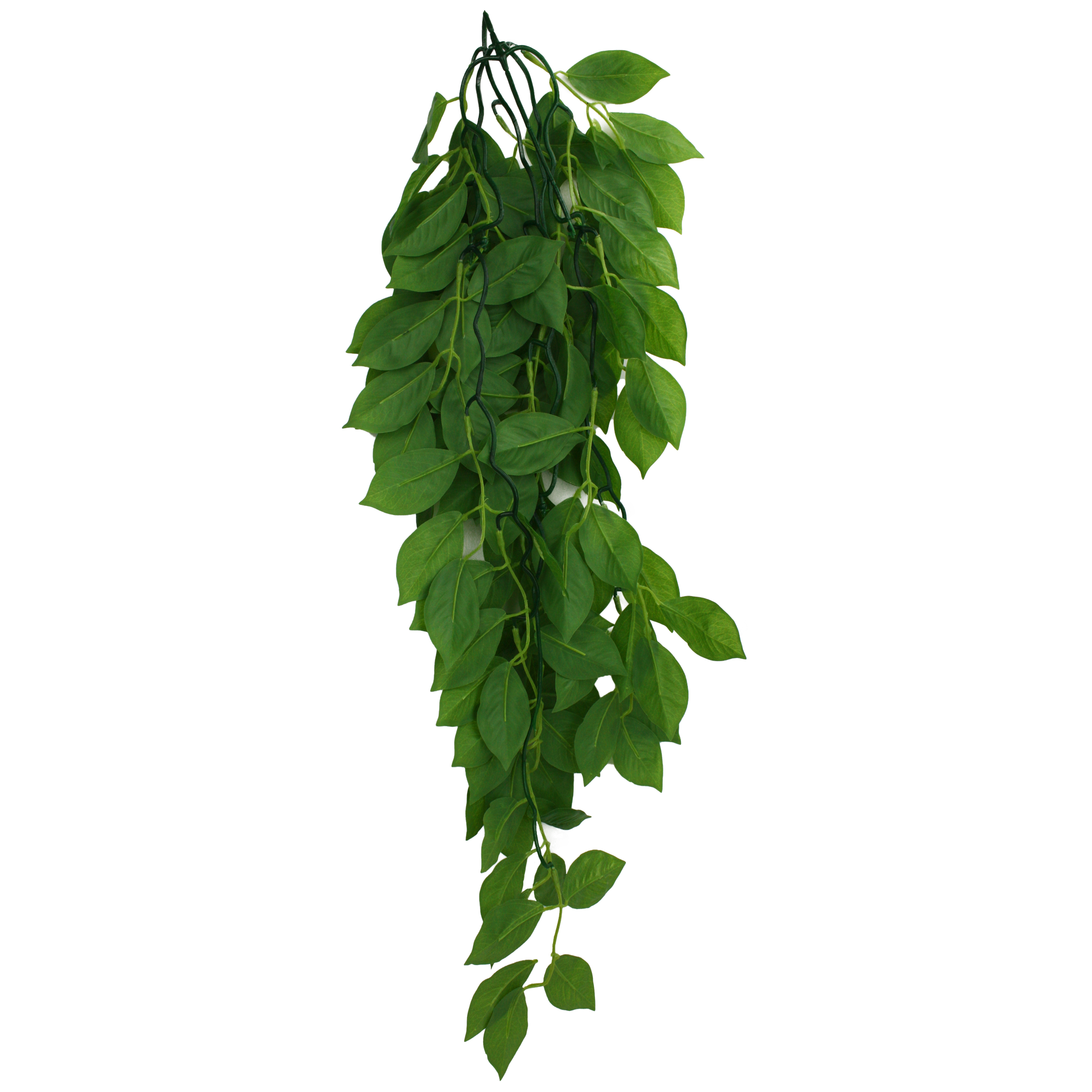 Komodo Climbing Plant - Green Leaf