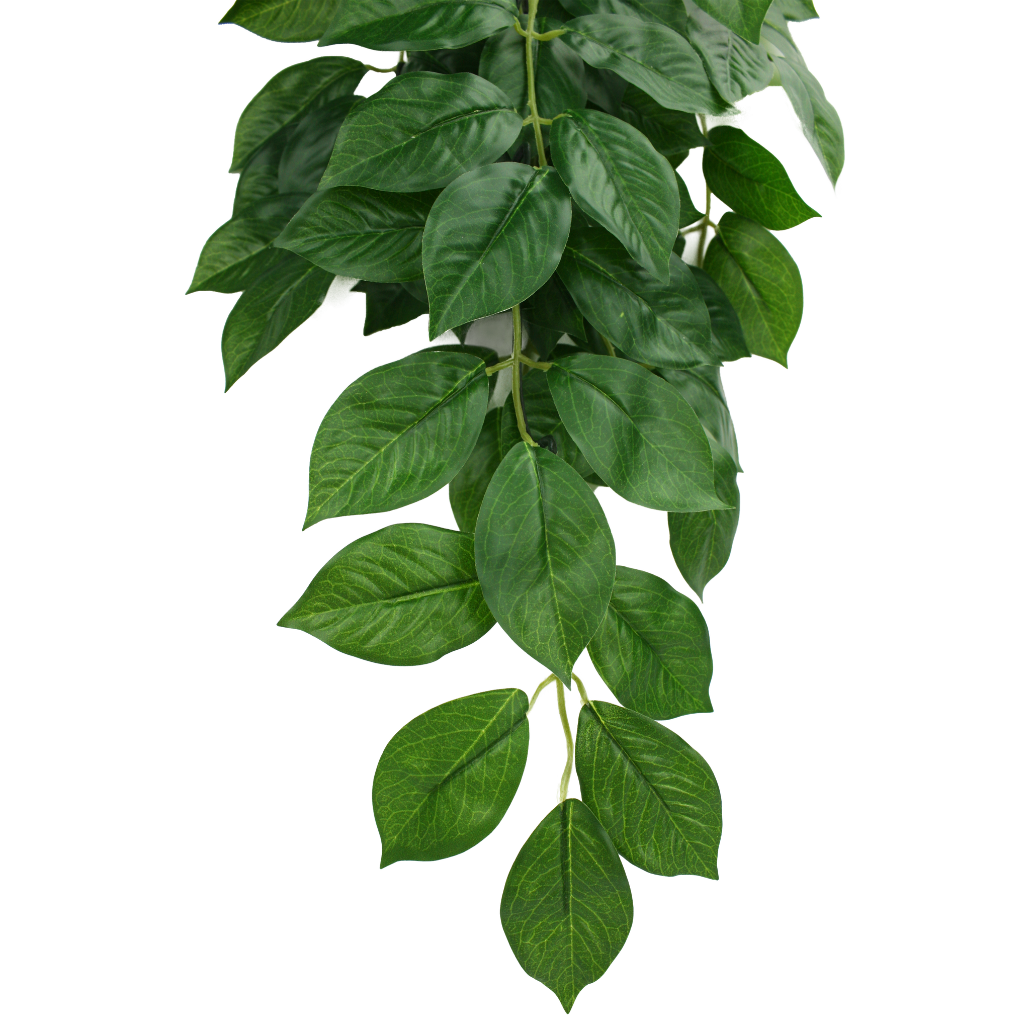 Komodo Climbing Plant - Green Leaf