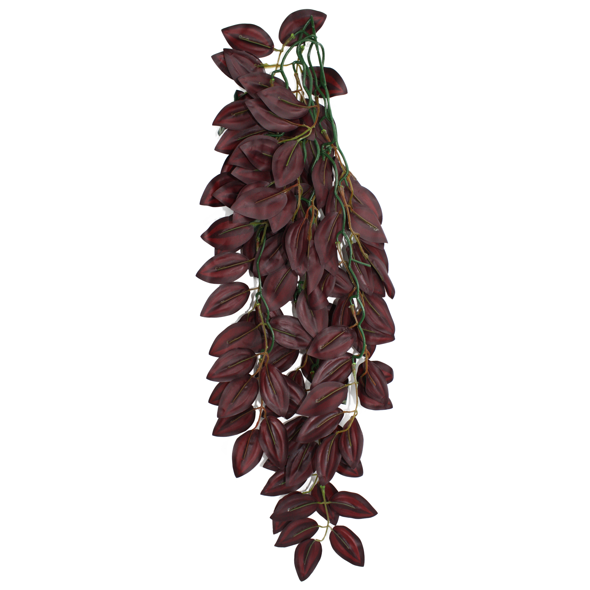 Komodo Climbing Plant - Zebrina