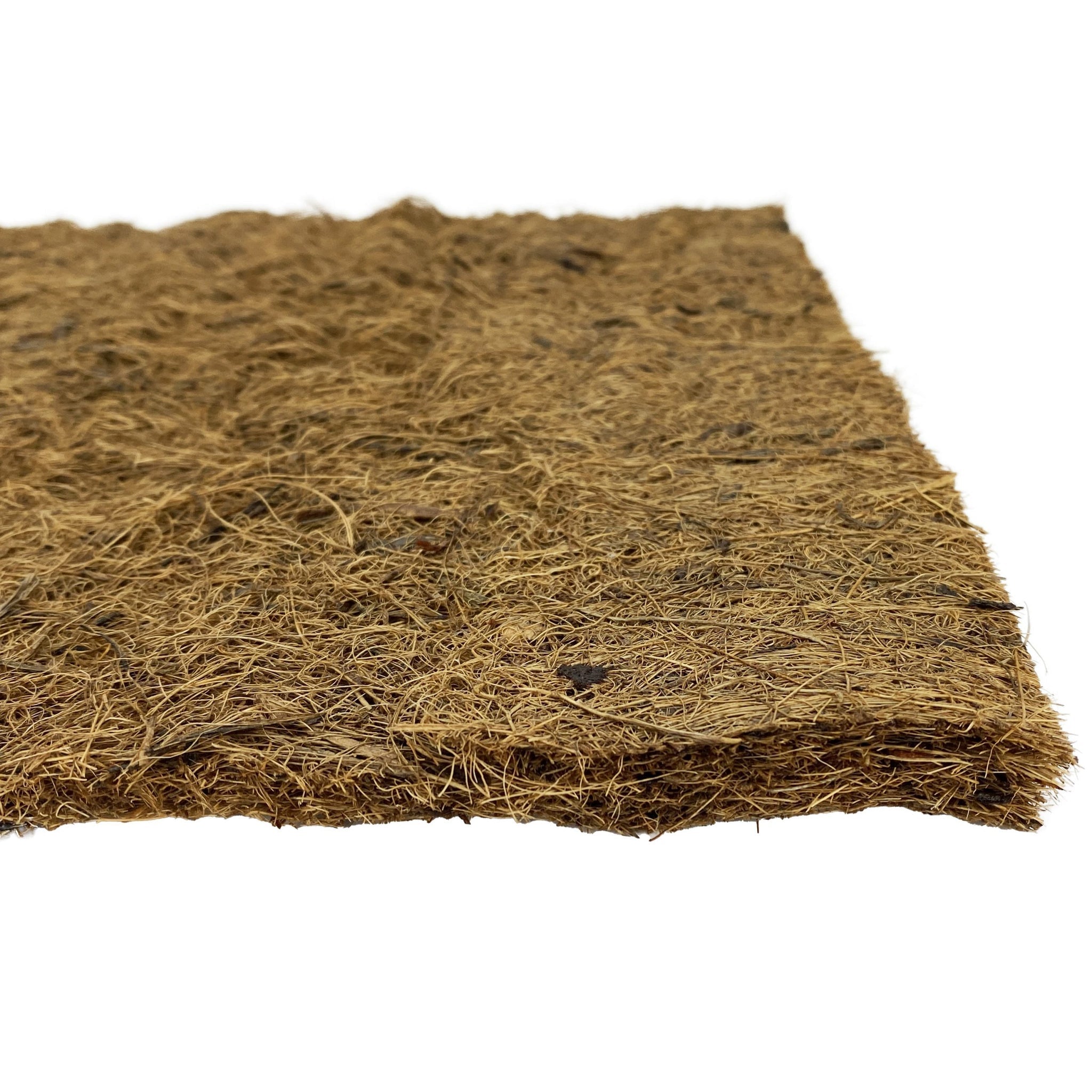 Komodo Coconut Coir Fibre Pad