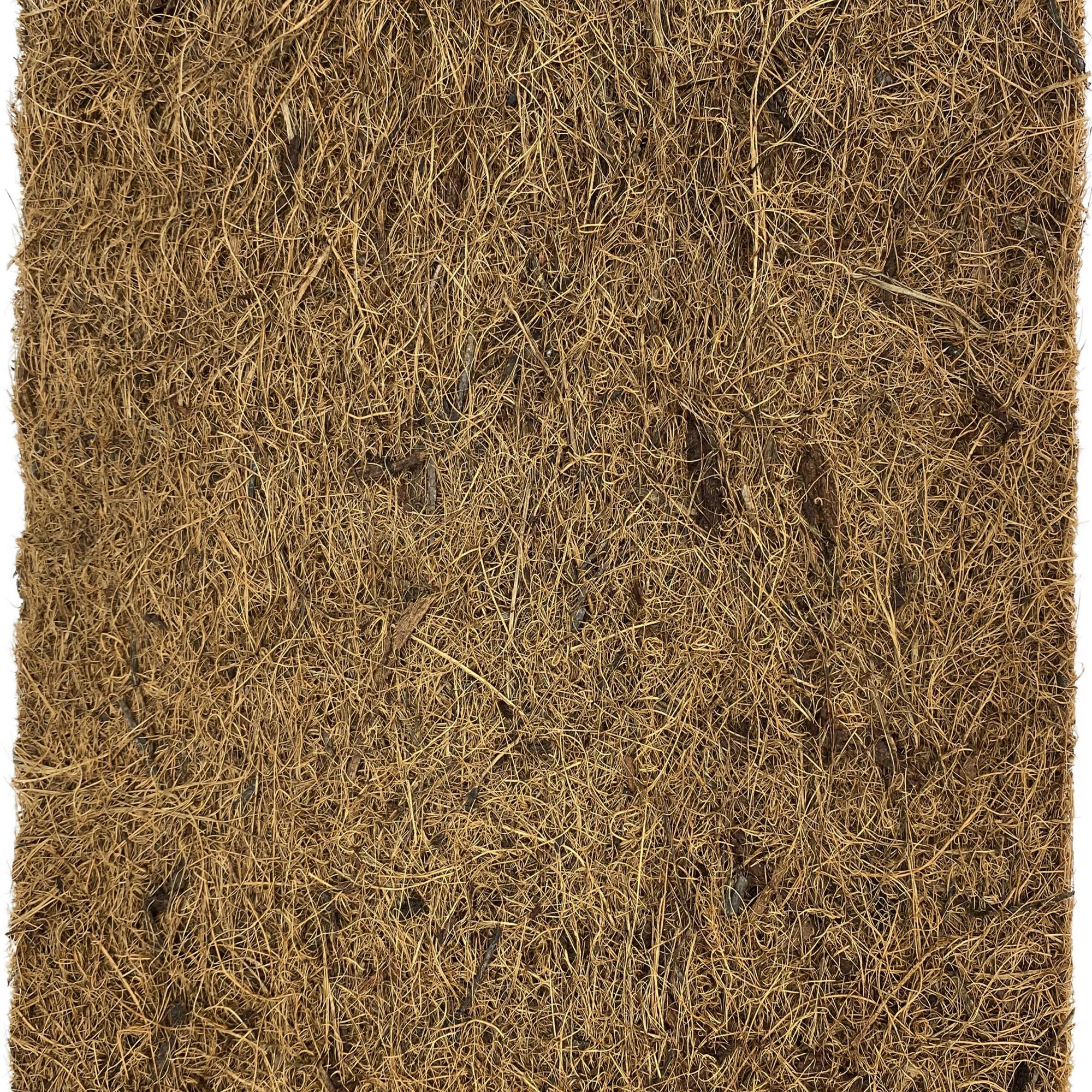 Komodo Coconut Coir Fibre Pad
