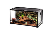 ReptiZoo Flat Packed Terrariums - 14 Sizes