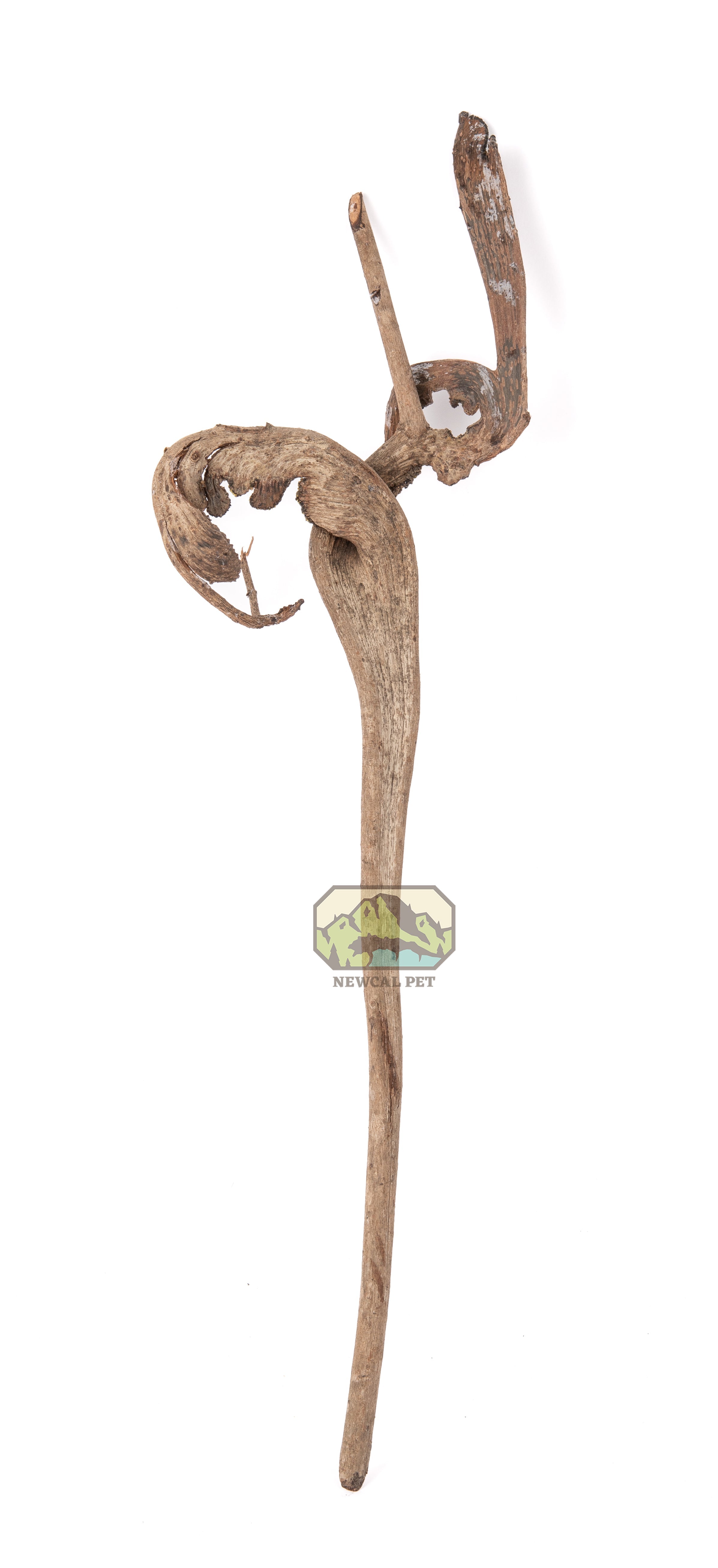 NewCal Natraj Wood 18-22"