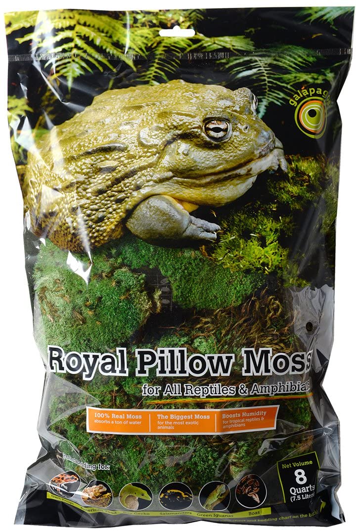 Galapagos Royal Pillow Moss
