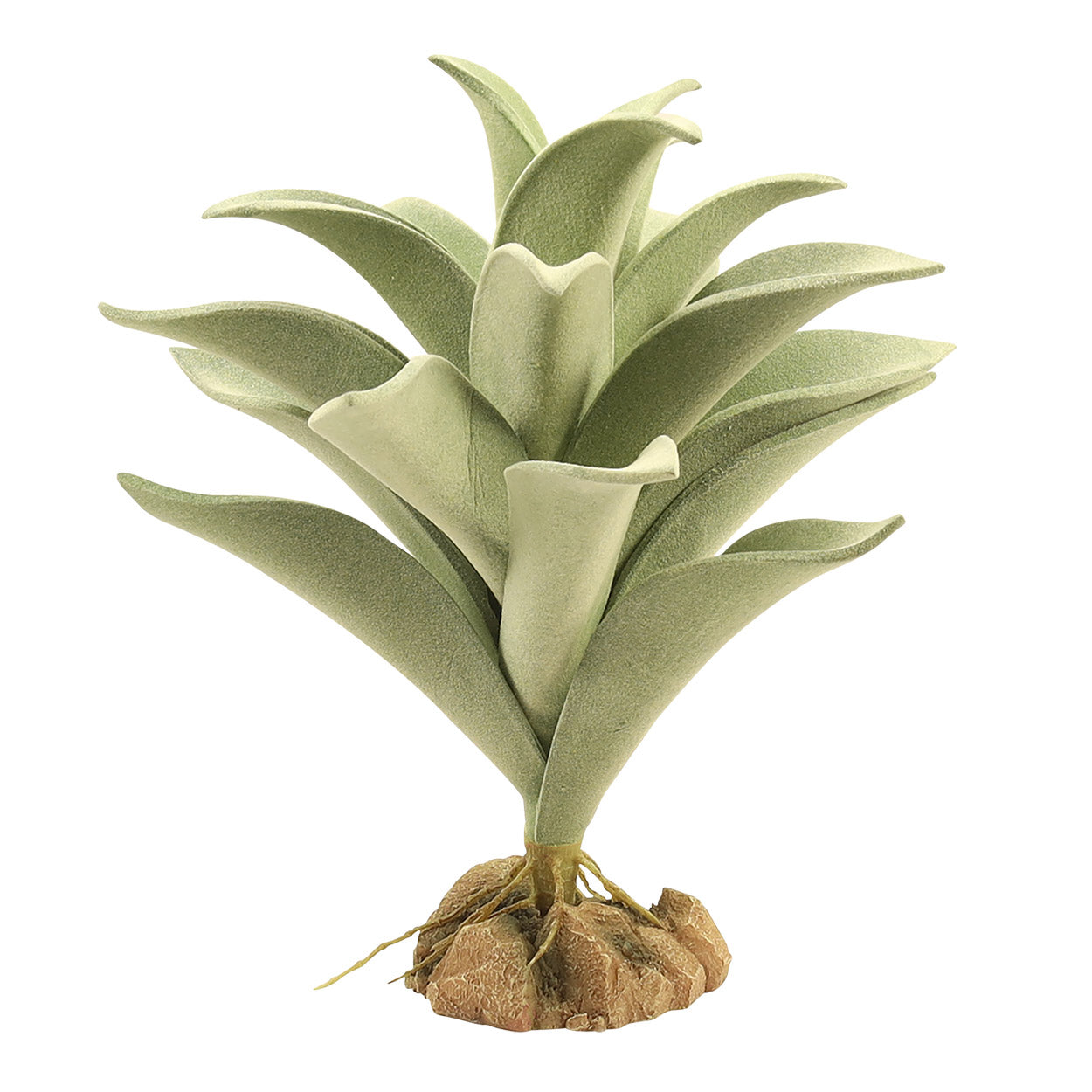 Zoo Med Natural Desert Flora (6 Varieties)