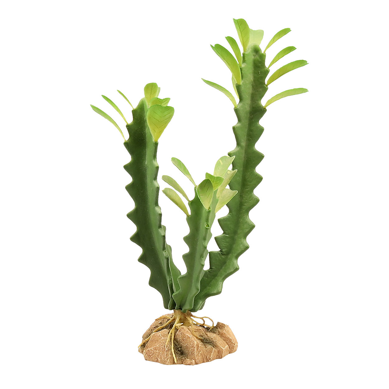 Zoo Med Natural Desert Flora (6 Varieties)