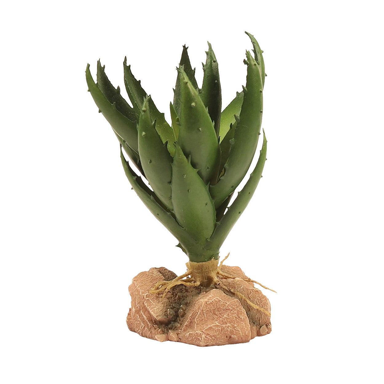 Zoo Med Natural Desert Flora (6 Varieties)