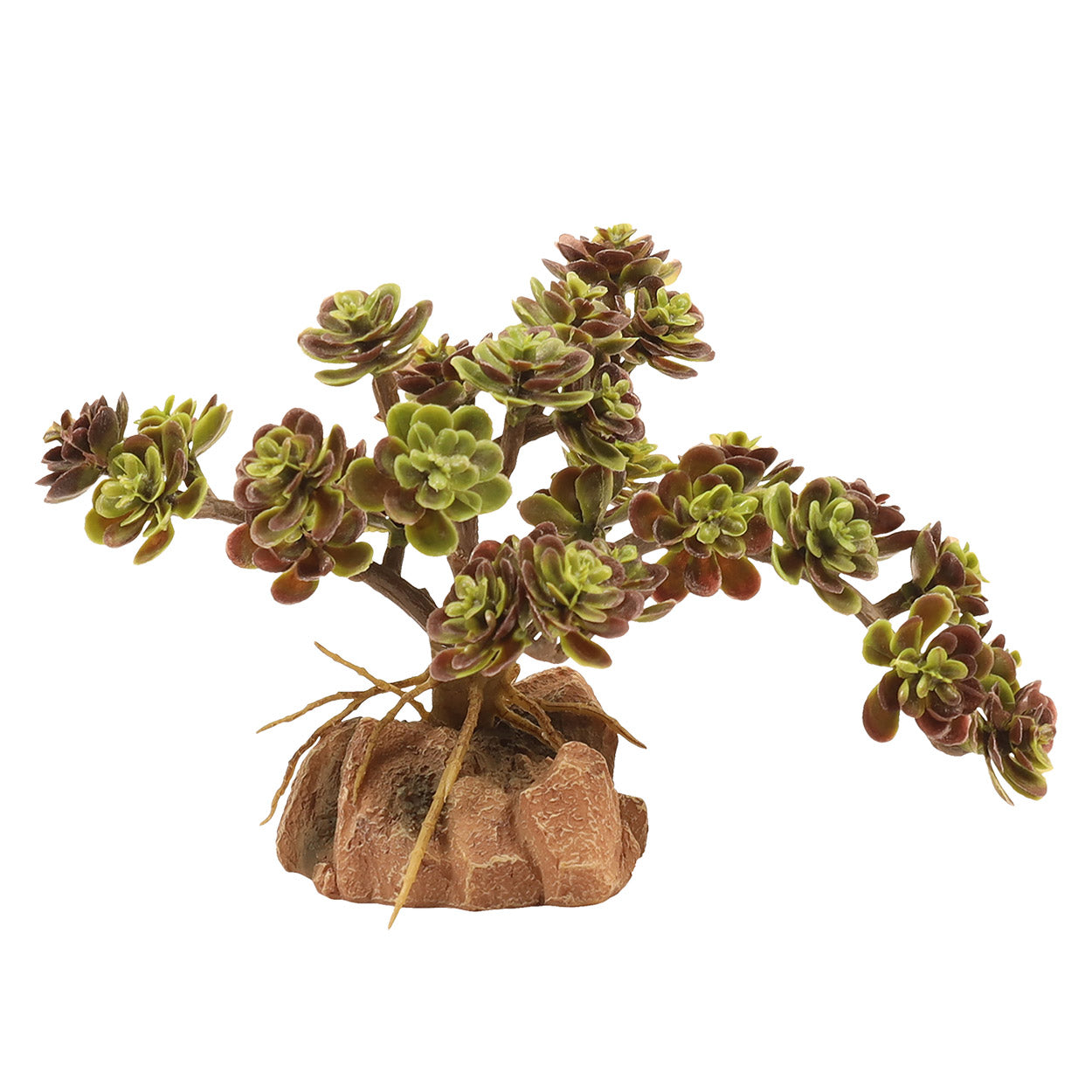 Zoo Med Natural Desert Flora (6 Varieties)