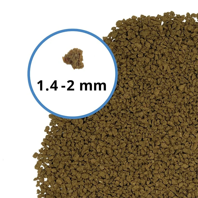 Fluval Bug Bites Colour Enhancing Formula (Special Order)