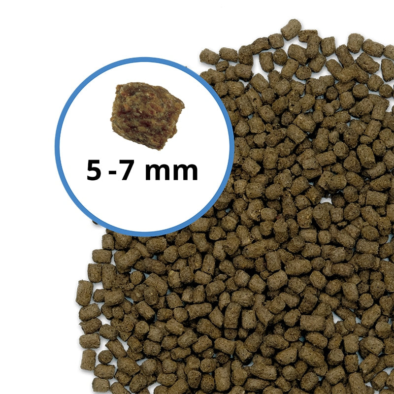 Fluval Bug Bites Cichlid Formula  (Special Order)